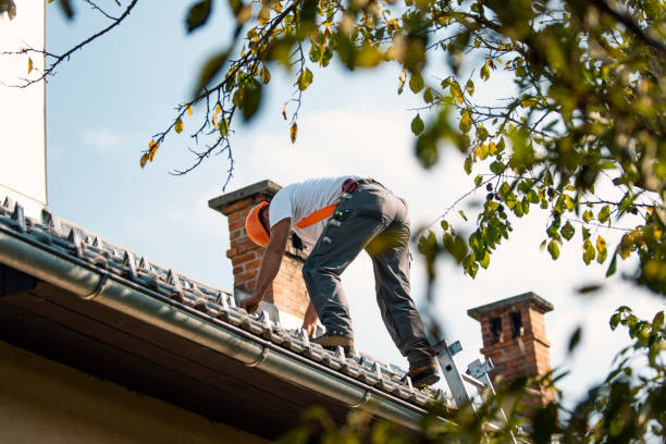 Best Roof Replacement  in Washburn, ND